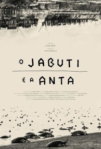 O Jabuti e a Anta 